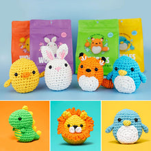 Load image into Gallery viewer, DIY beginner crochet kit