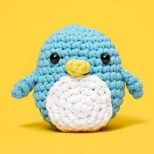 Load image into Gallery viewer, DIY beginner crochet kit