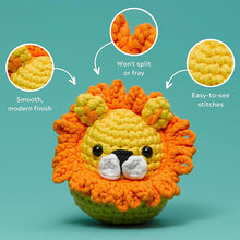 Load image into Gallery viewer, DIY beginner crochet kit