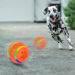 Pet Intelligent Ball
