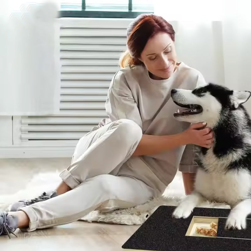 Dog Scratch Wooden Pad for Nails with Treat Drawer