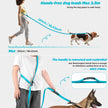 Hands Free Dog Leash