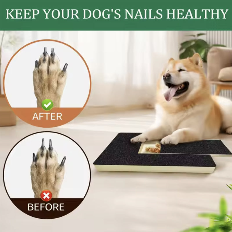 Dog Scratch Wooden Pad for Nails with Treat Drawer