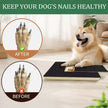 Dog Scratch Wooden Pad for Nails with Treat Drawer