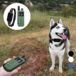 Dog Training Collar