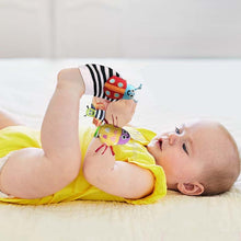 Load image into Gallery viewer, Baby Rattle Socks