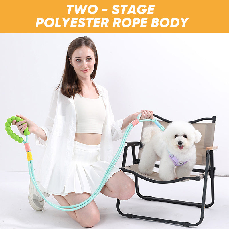 Dog reflective leash