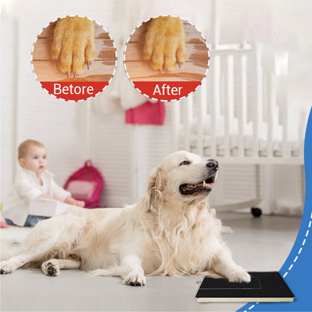 Dog Scratch Wooden Pad for Nails with Treat Drawer