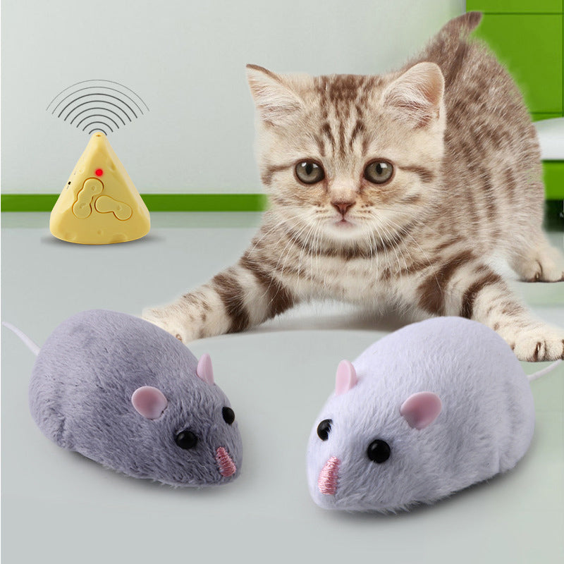Remote Control Mouse Mice – Suerteyay