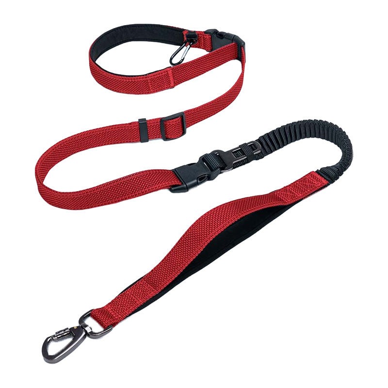 Hands Free Dog Leash