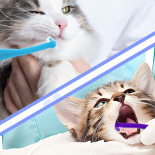 Load image into Gallery viewer, Dual Sided Cat Toothbrush