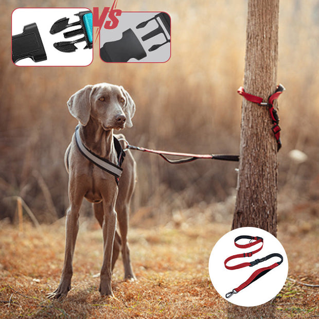 Hands Free Dog Leash