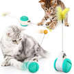 Funny Cat Swing Pet Toy