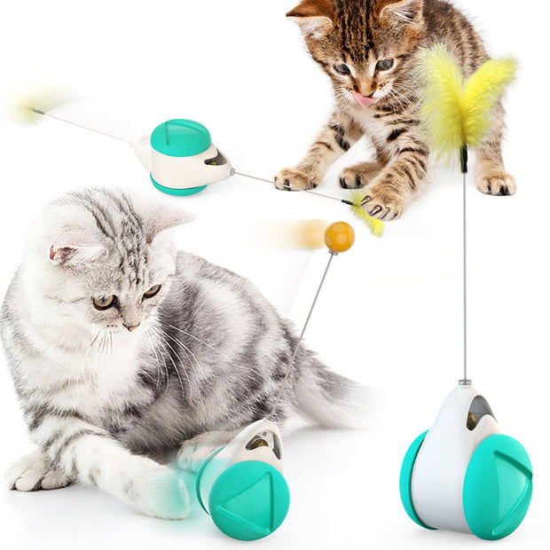 Funny Cat Swing Pet Toy