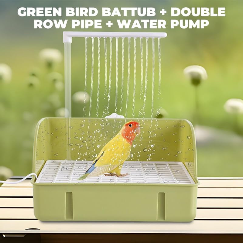 Automatic Bird Bath with Water Circulation