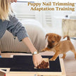 Dog Scratch Wooden Pad for Nails with Treat Drawer