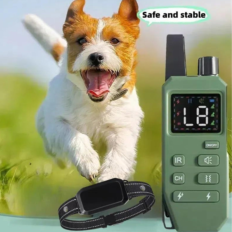 Dog Training Collar