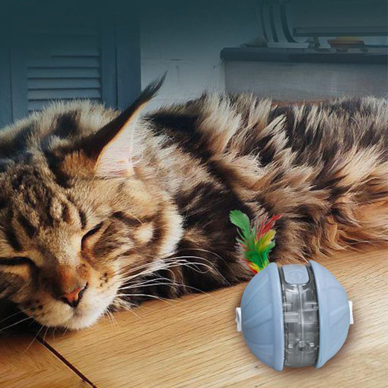 Smart Pet Self-Play Toy Ball