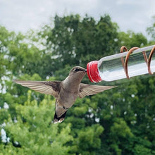 Load image into Gallery viewer, Window Hummingbird Feeder
