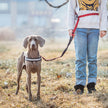 Hands Free Dog Leash