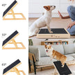 Dog Scratch Wooden Pad for Nails with Treat Drawer
