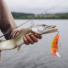 Load image into Gallery viewer, 24 Days Christmas Countdown Fish Tackle Set