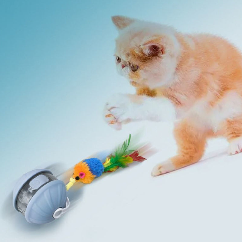 Smart Pet Self-Play Toy Ball