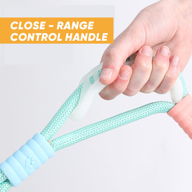 Dog reflective leash