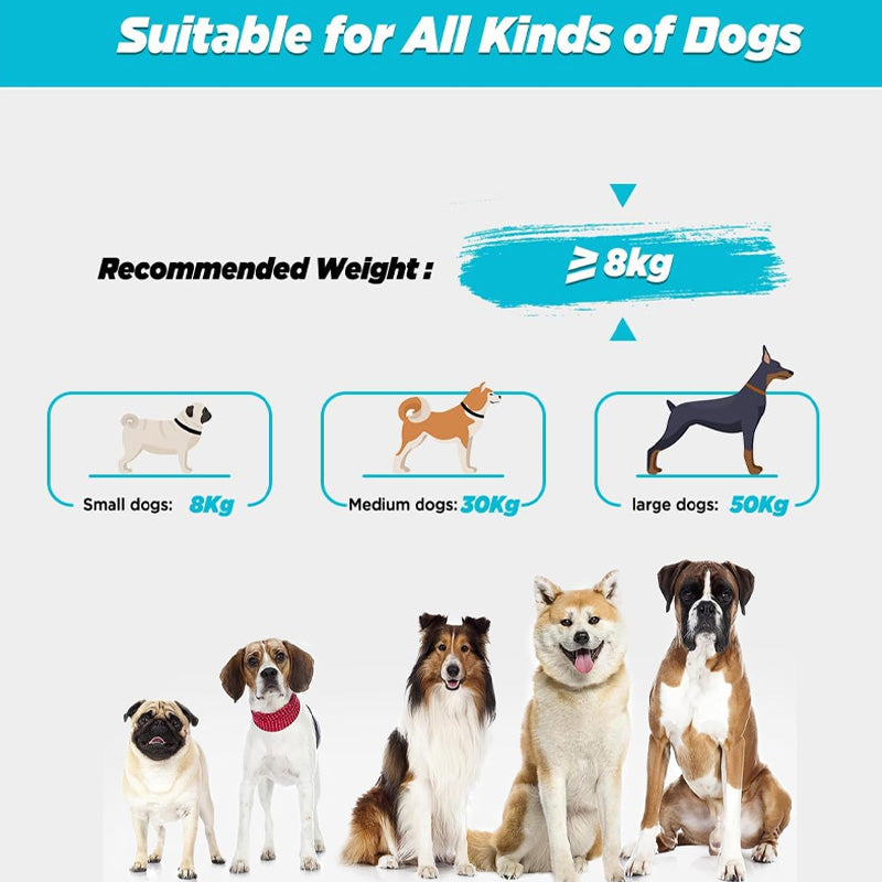 Hands Free Dog Leash