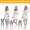 Dog reflective leash