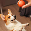Automatic smart teasing dog ball that can't be bitten🐶