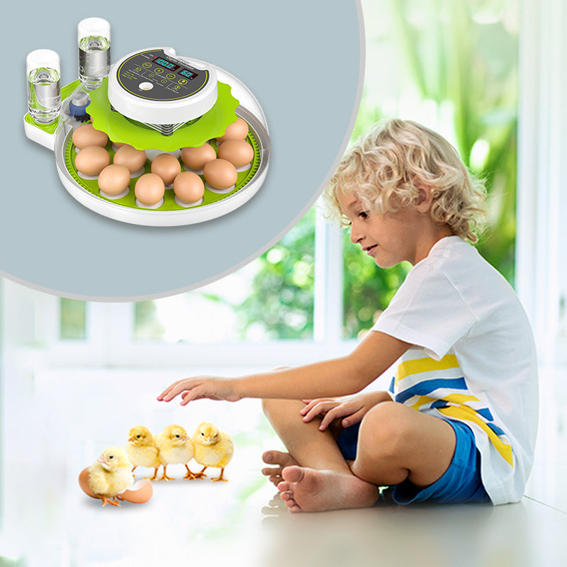 18-Piece Fully Automatic Egg Incubator