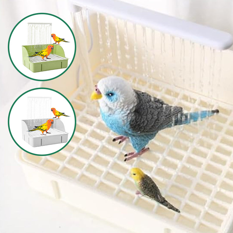 Automatic Bird Bath with Water Circulation