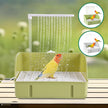 Automatic Bird Bath with Water Circulation