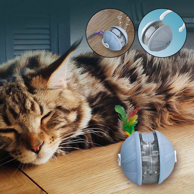 Smart Pet Self-Play Toy Ball