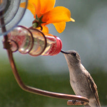 Load image into Gallery viewer, Window Hummingbird Feeder