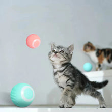 Load image into Gallery viewer, Smart Self Rolling Ball