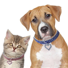 Load image into Gallery viewer, Gold dog Chain - Crystal Heart Pets Collar