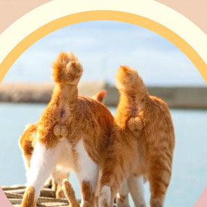 2023 Cats Buttholes-calendar
