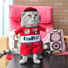 Load image into Gallery viewer, Funny Pet Costumes