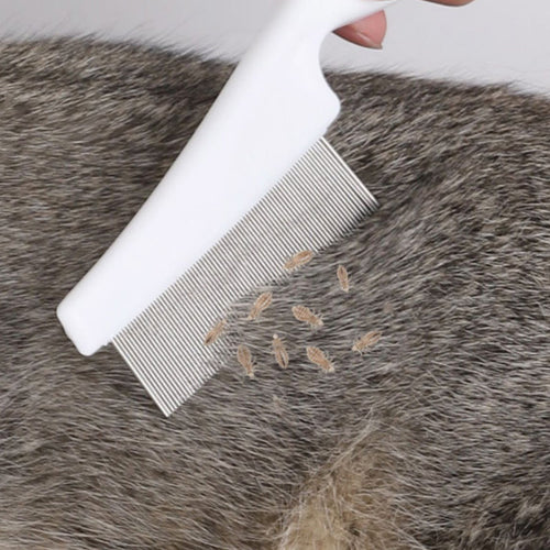Flea Combs Stainless Steel Stain Remover