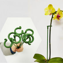 Load image into Gallery viewer, Single Plant Stem(10PCS)
