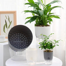 Load image into Gallery viewer, Self-watering Hydroponic Flowerpot
