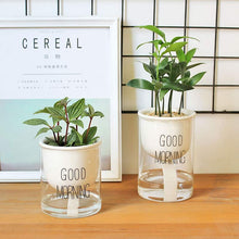 Load image into Gallery viewer, Self-watering Hydroponic Flowerpot