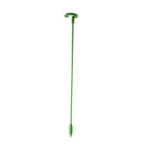 Single Plant Stem(10PCS)