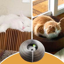 Load image into Gallery viewer, Magic Organ Cat Scratching Board