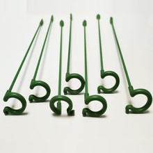 Load image into Gallery viewer, Single Plant Stem(10PCS)