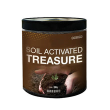 Load image into Gallery viewer, Soil Activated Treasure