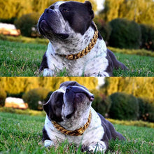 Load image into Gallery viewer, Heavy Duty Metal Chain Collar for Large Dogs