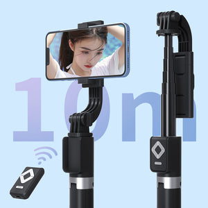 Selfie Stick with LED Fill Light